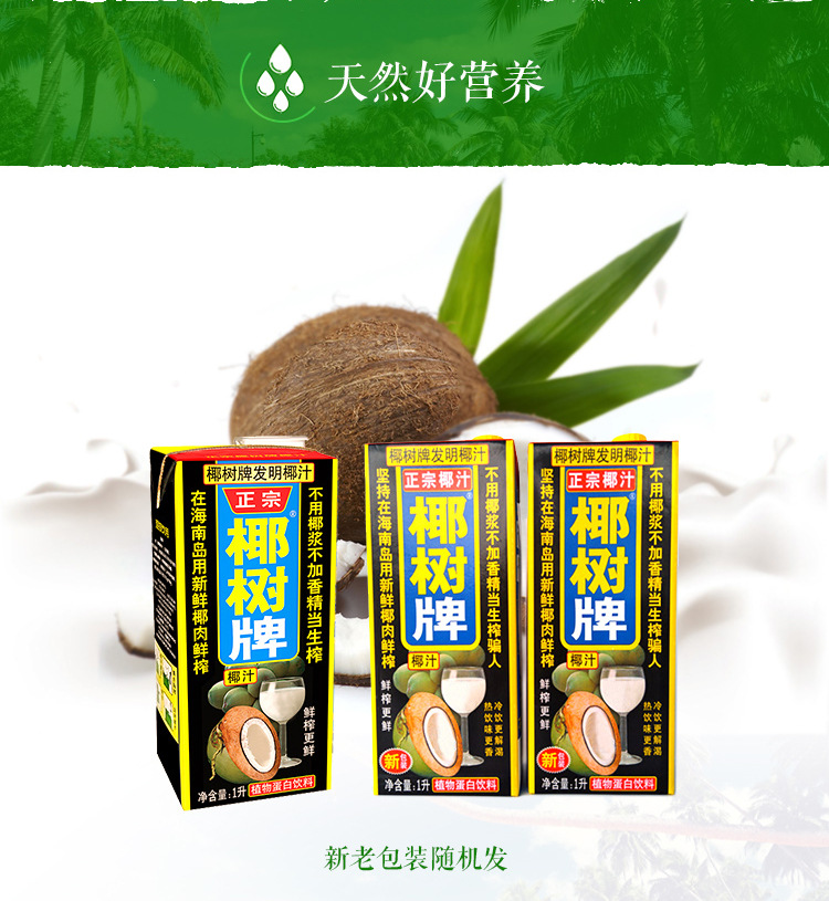 椰树牌 椰汁1l*12盒 整箱正宗海南椰子肉榨汁植物蛋白椰奶饮料