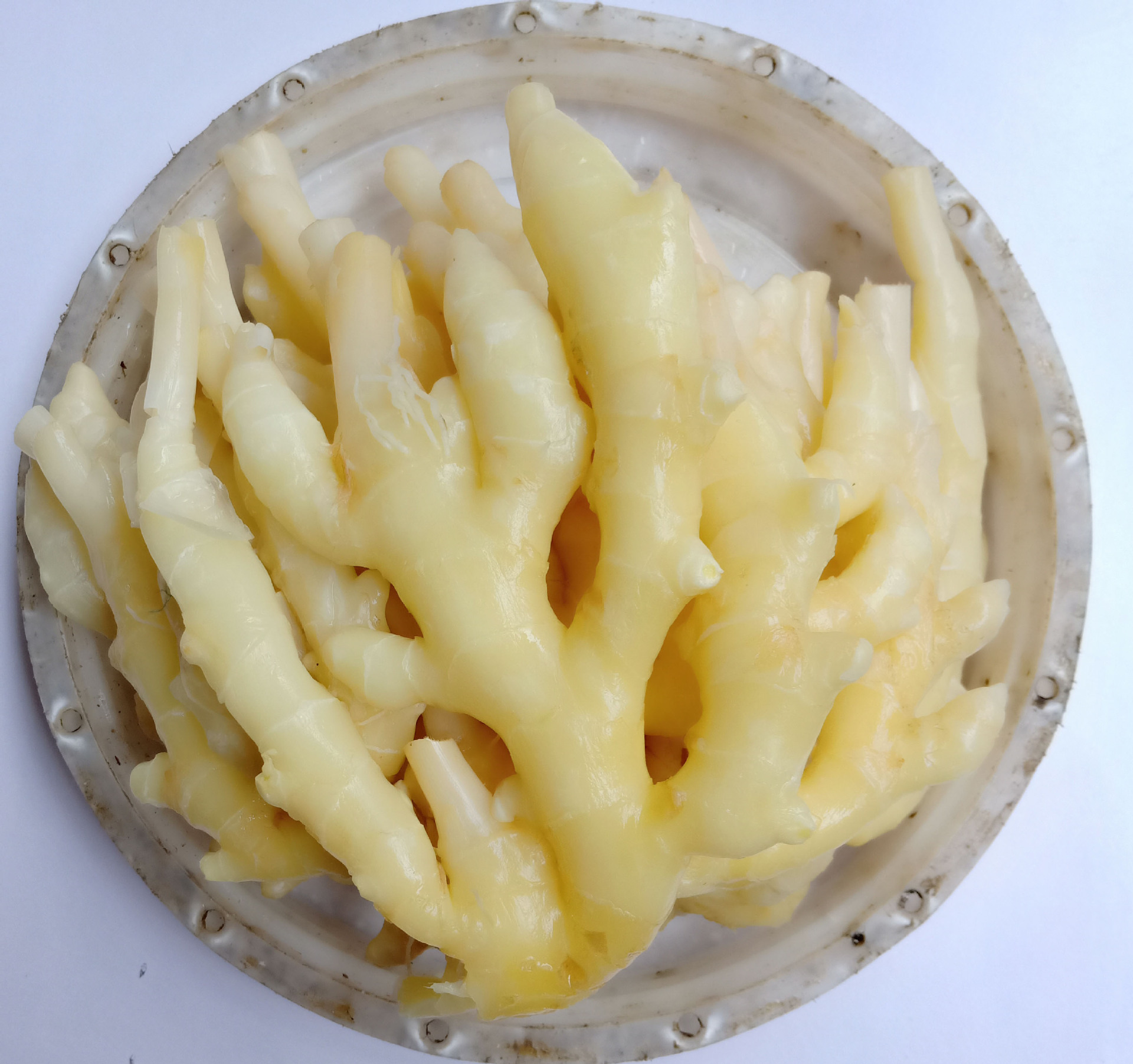 四川泡仔姜60斤泡嫩姜泡姜餐饮火锅泡生姜散装酱腌菜厂家批发