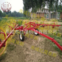 农用9LZ-3.0搂草机现货 搂苜蓿用的指排搂草机出口 红日机械