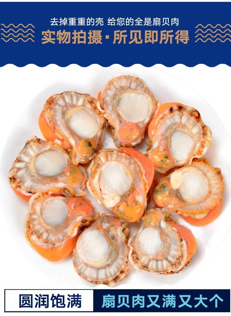 5斤顺丰起发 新鲜冷冻扇贝肉少冰贝壳肉海鲜水产蒜蓉蒸扇贝食材