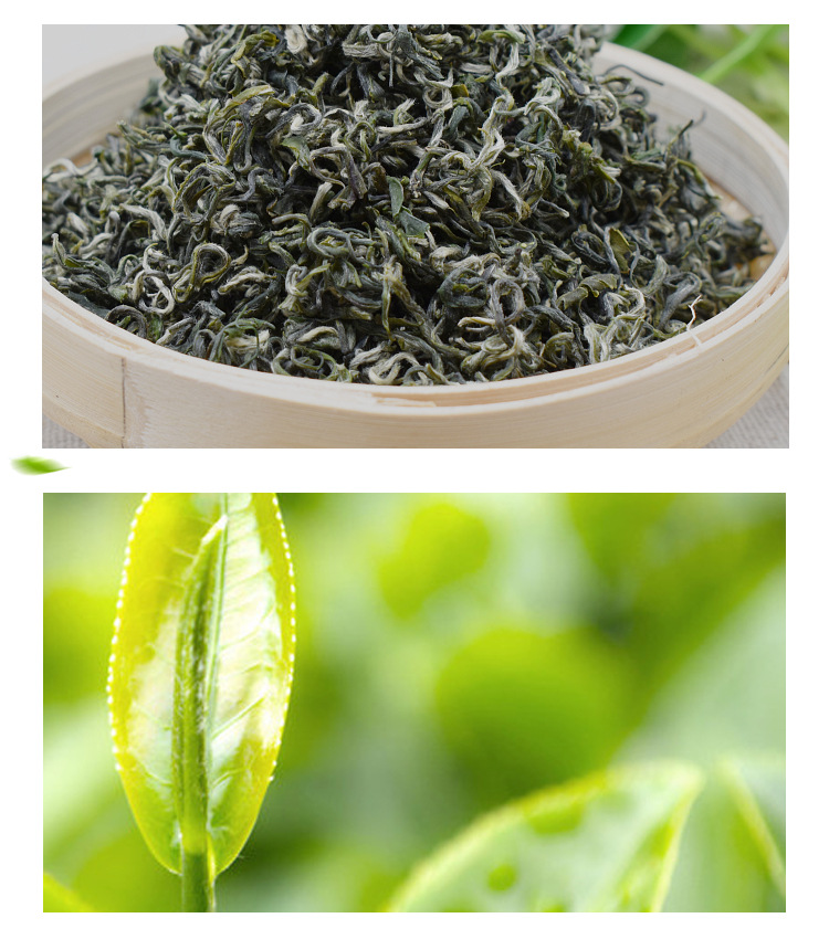 蒙顶山云雾绿茶碧螺春新茶四川高山茶叶浓香耐泡散装