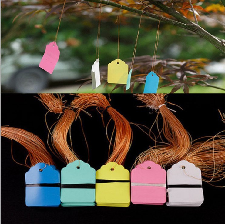 花卉标签,园艺标签(塑料园艺挂牌)挂签 吊牌标签 30g