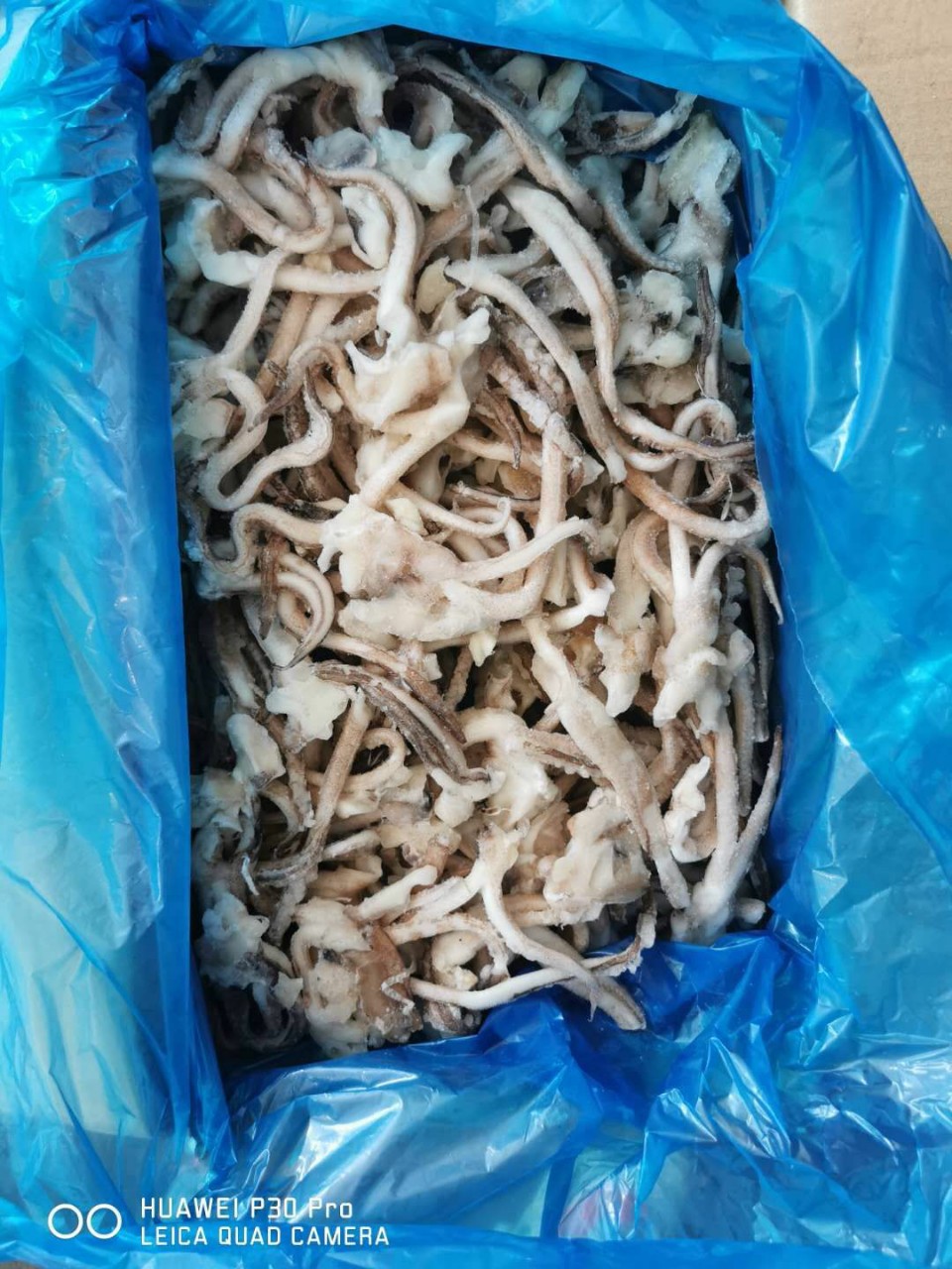 冷冻海鲜精选鱿鱼须活冻鱿鱼须 比你想的更新鲜 酒店餐厅二批直供