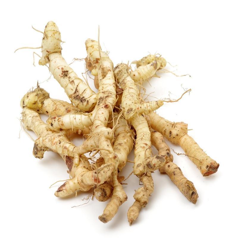 新鲜黄精种芽种球食用黄精鸡头黄精滇黄精农产品多年生