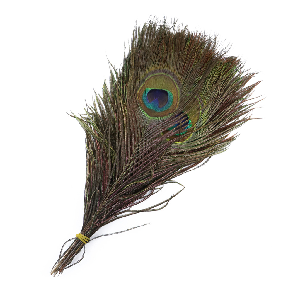 批发天然孔雀毛大眼睛插花工艺品孔雀翎羽可订染头饰配件辅料羽毛