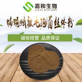 蝙蝠蛾被毛孢菌丝体粉 中华被毛孢菌粉 虫草被毛孢菌丝体粉 现货