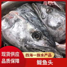 四海水产鲜冻鲅鱼头个大肉肥肉质鲜美鲅鱼头美味健康马鲛鱼头海鱼