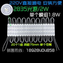 3535注塑模组 独家研发高压110V/220V 免驱动 直接接电 高性价比