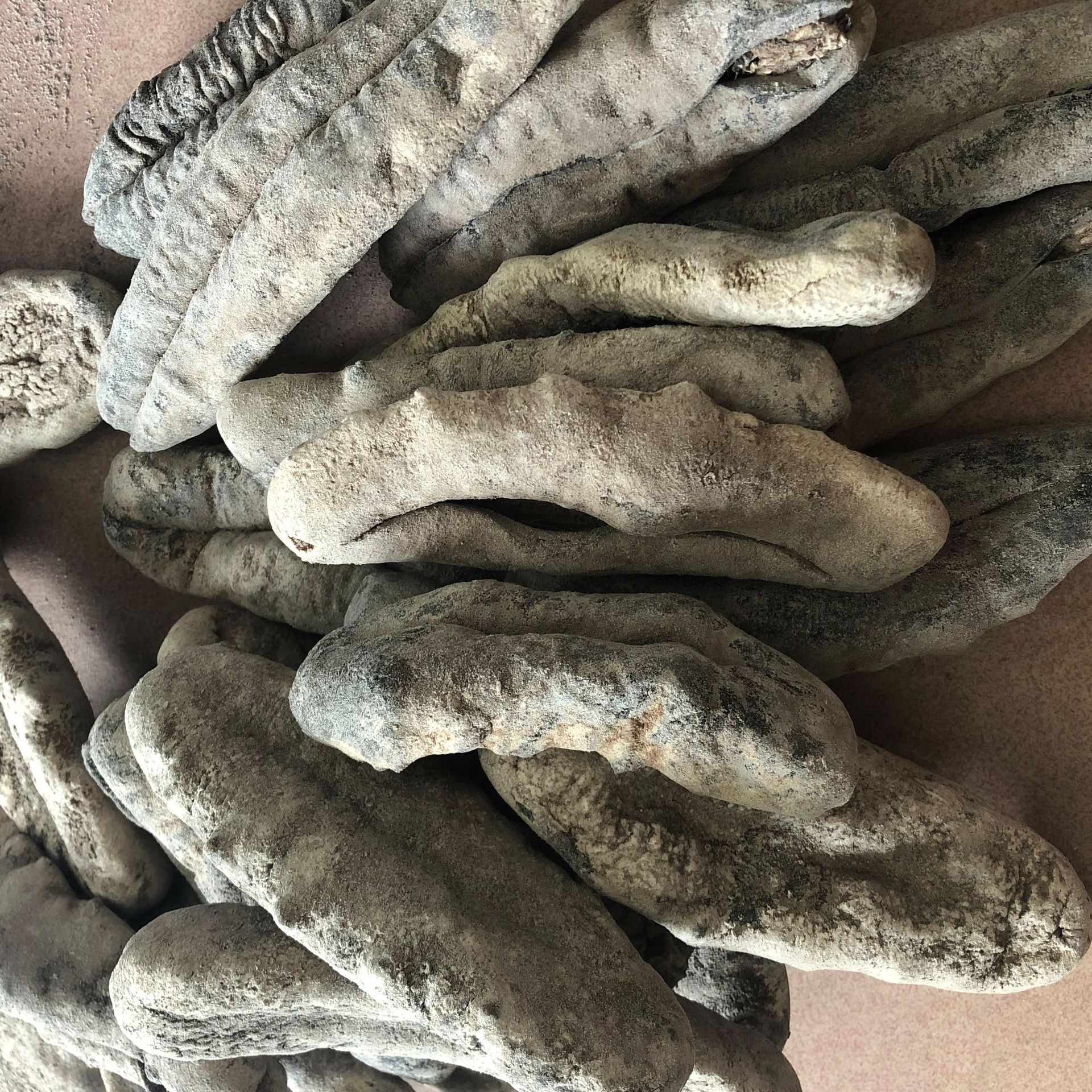 猪婆参澳洲猪婆参批发海参干货批 3头一斤熟度外形完好肉质有弹性