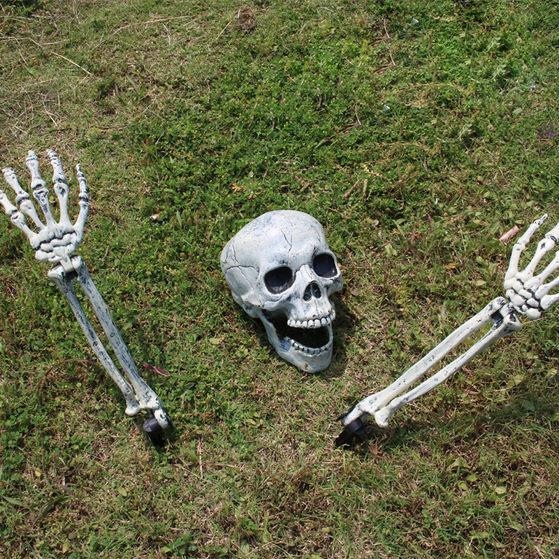 仿真人体骷髅骨架