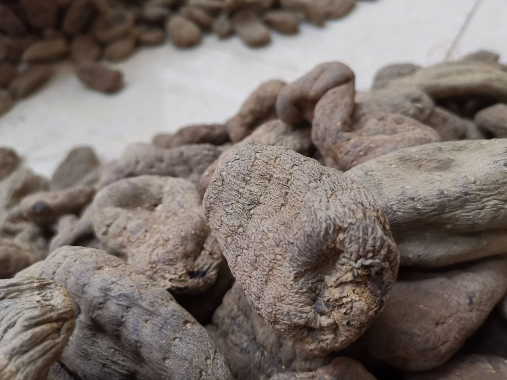 乌天麻500g云南昭通小草坝天麻干货切片打粉皮全黑天麻新鲜生天麻