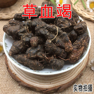云南草血竭 老腰弓 地蜂子 一口血 拳参 500g包邮批发