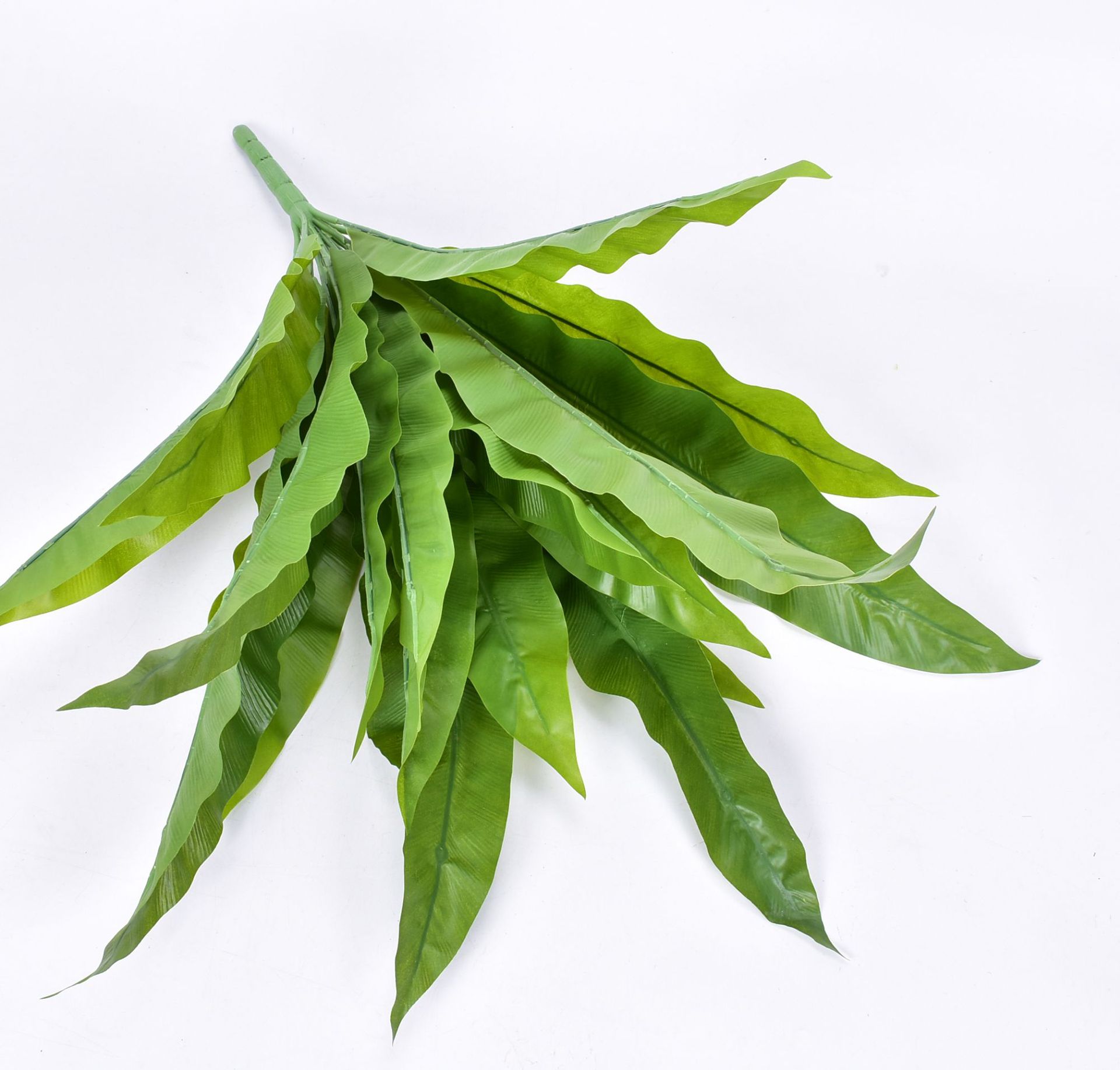 仿真过胶绿植热带雨林手感小蕨叶蕨类植物墙上绢花盆栽田园鸟巢叶