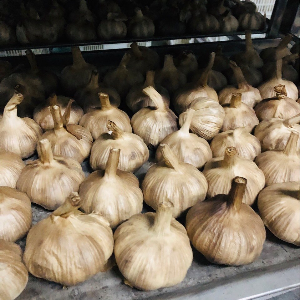 多瓣黑蒜500克托盘源头工厂山东金乡黑大蒜团购礼品