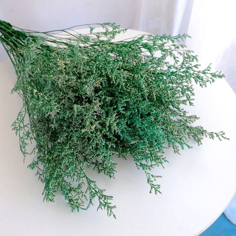 吸色永生花情人草干花保鲜花情人草 情人草干花批发 节日礼物