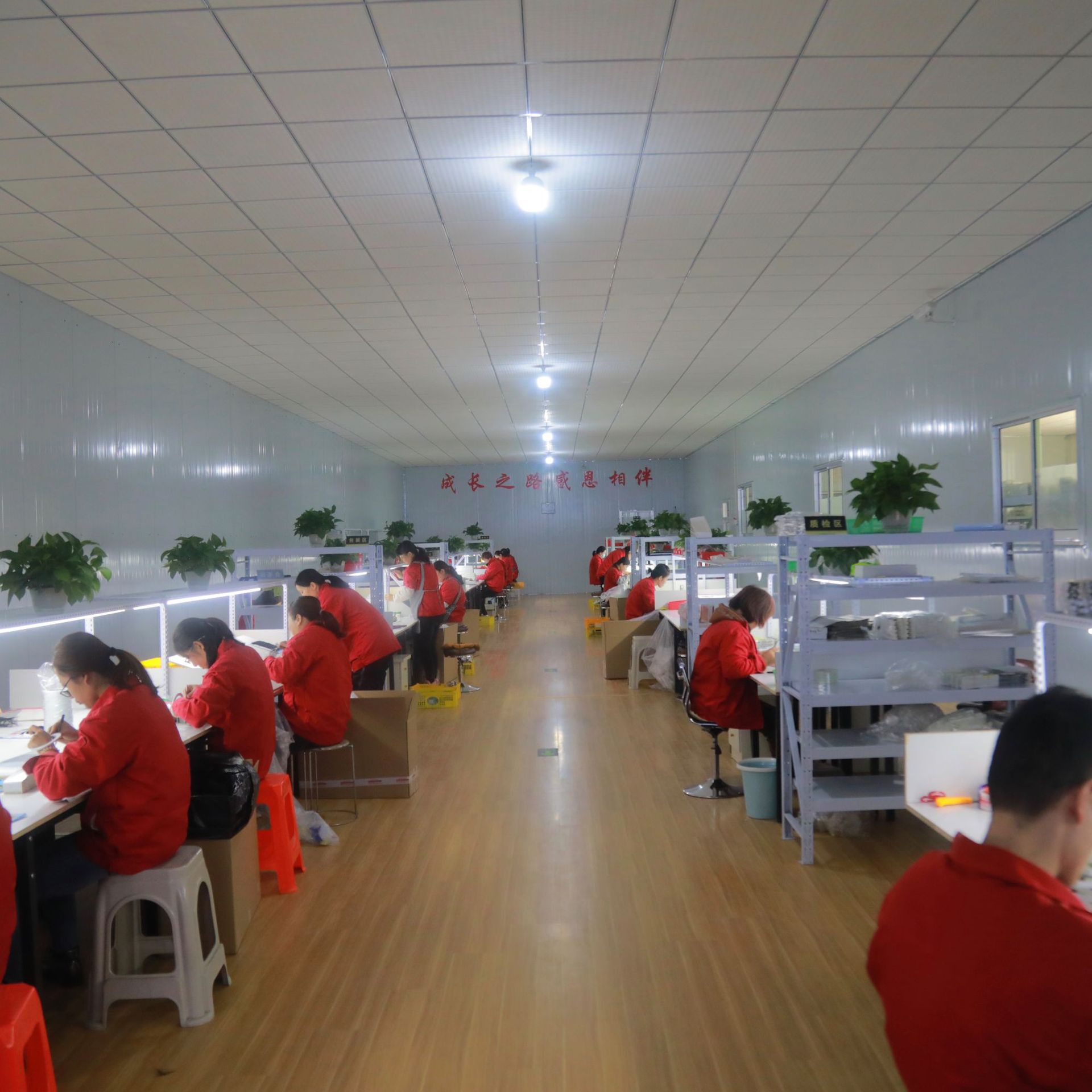 化纤睫毛 3d假睫毛 工厂批发跨境货源