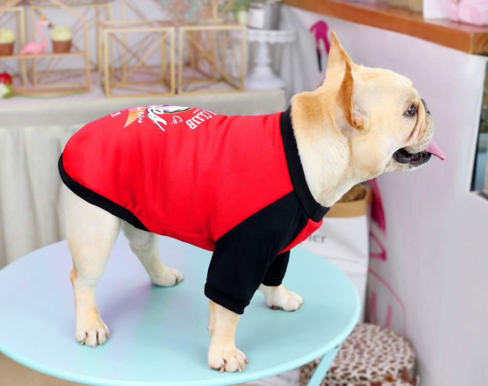 法斗衣服斗牛衣服英斗恶霸巴哥春秋冬装衣拼色斗牛犬卫衣一件代发