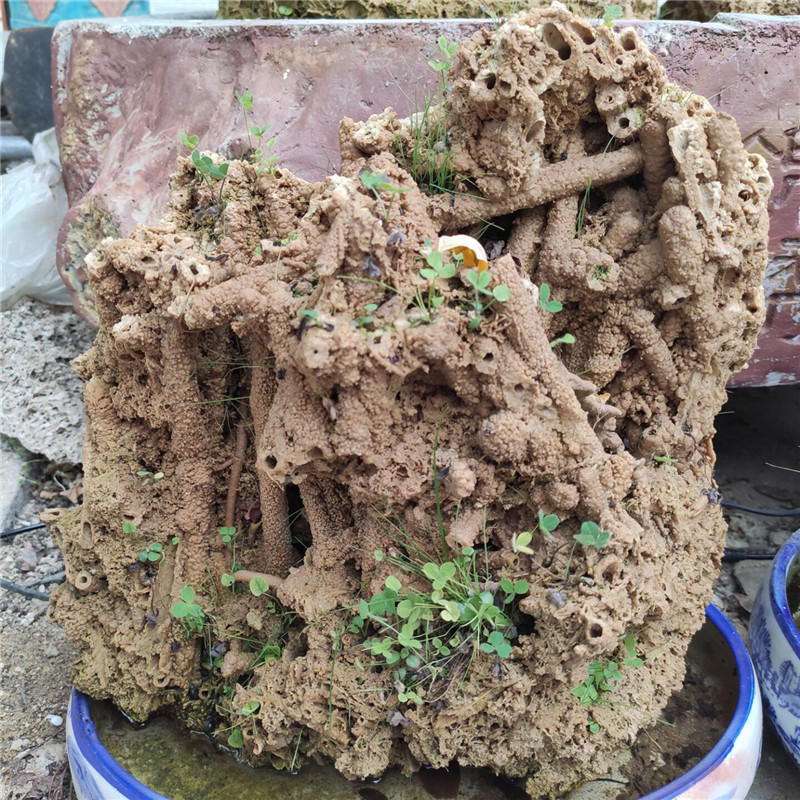 恒鼎矿产品批发麦管石 吸水石 上水石 盆景 量大优惠