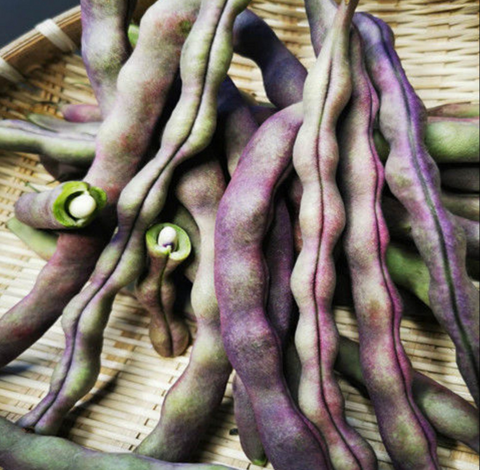 5斤包邮批发 东北特产农家肥新鲜蔬菜大紫袍芸豆冻死鬼紫豆角