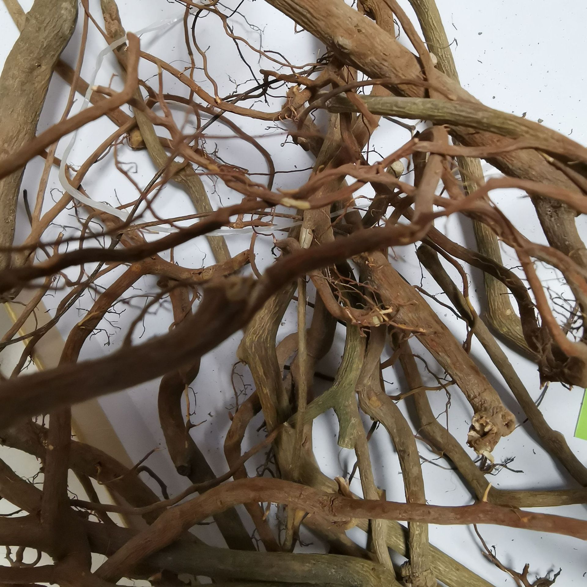 中药材虎刺根 老鼠刺 绣花针根 老虎刺 伏牛花根 干品-阿里巴巴