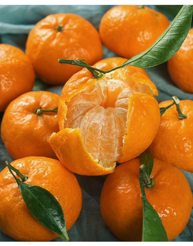 橘子新鲜10斤小砂糖橘蜜橘5广西沙糖桔柑橘金桔超甜当季水果