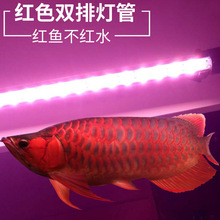 享庭XT系列透光单排双排红鱼不红水 LED灯 照明灯龙鱼缸照明灯