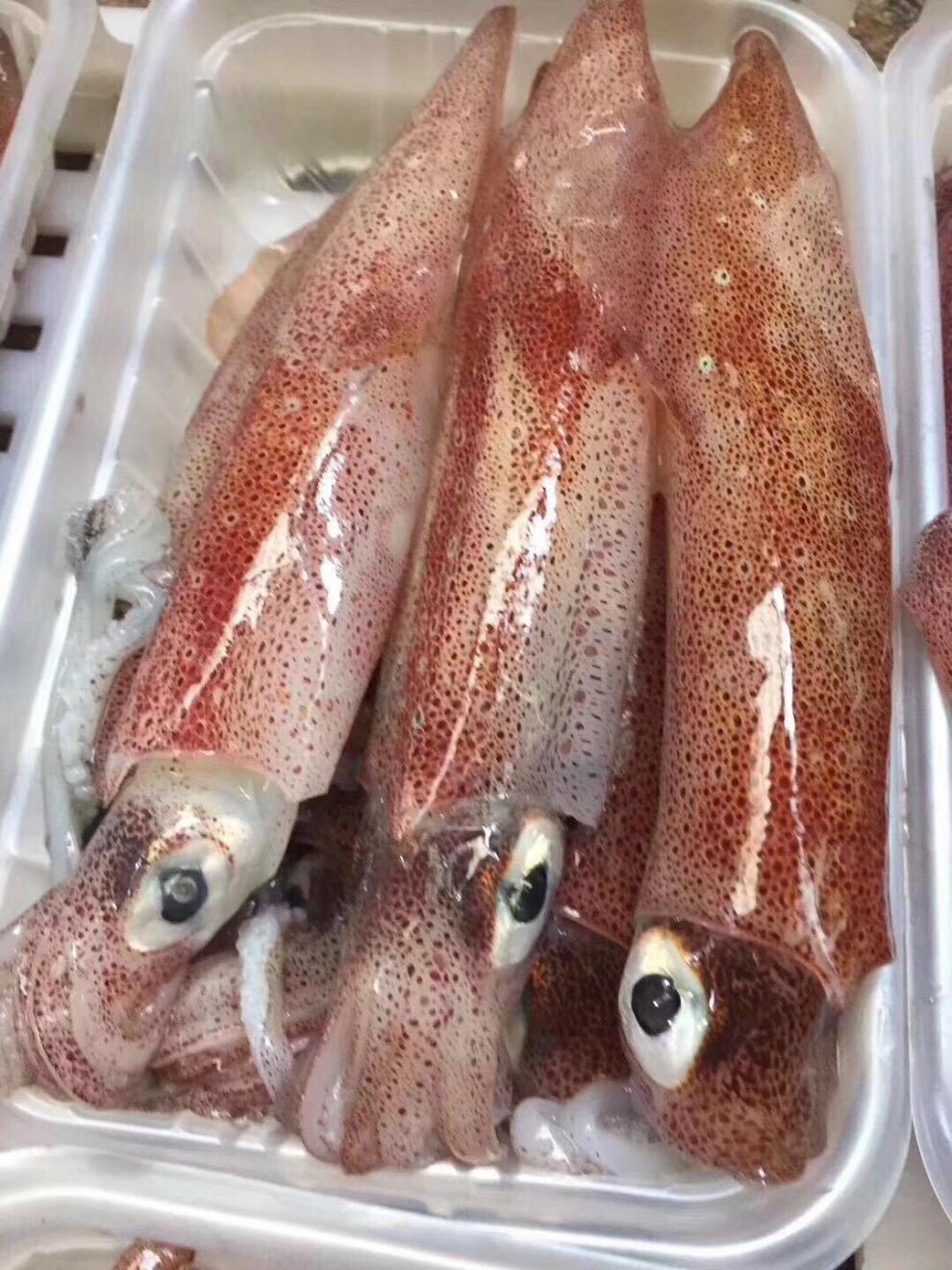 母管 带籽母管 饭管 有卵东山小管 冻厂自产自销