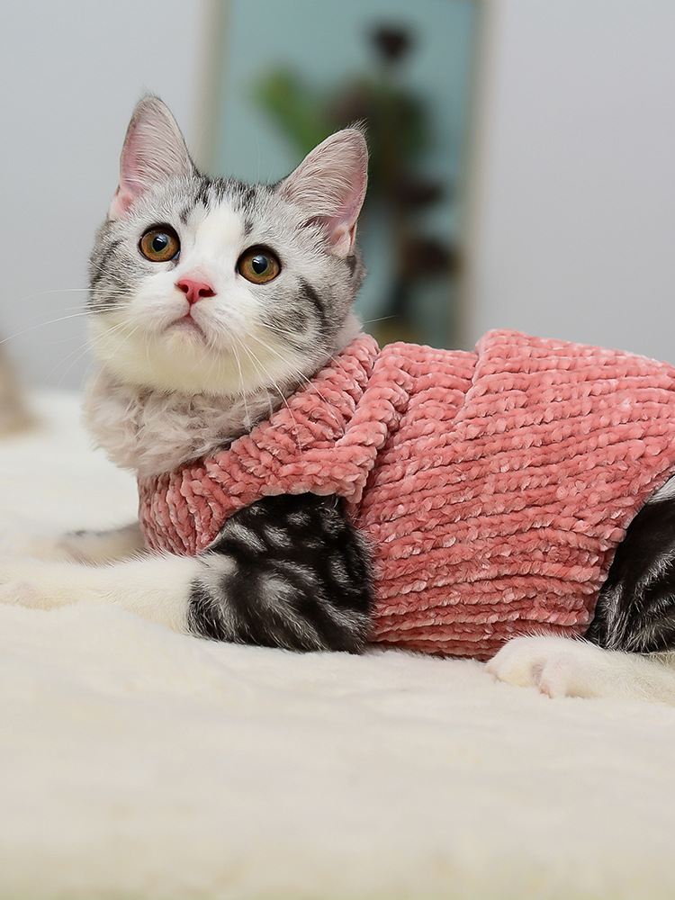 moorspet无毛猫斯芬克斯猫咪保暖背心 金丝绒仿貂毛领 手工猫毛衣