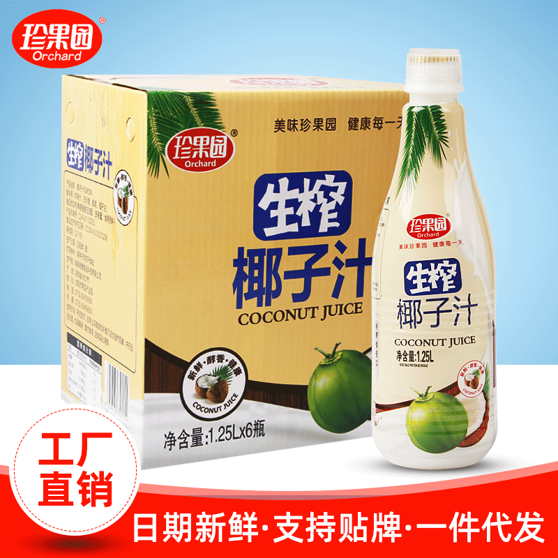 25l*2瓶/件果蔬汁风味饮料 椰肉椰汁椰奶果汁饮品