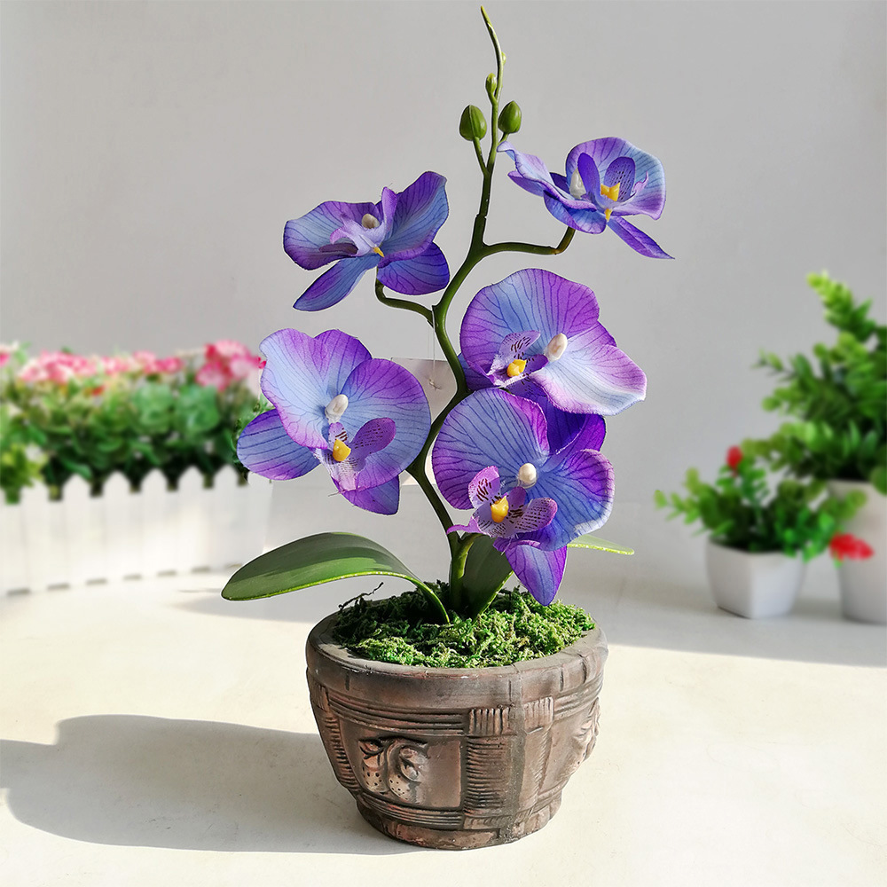 仿生蝴蝶兰仿真花盆栽摆件装饰 绿色植物永生花盆景全国一件代发