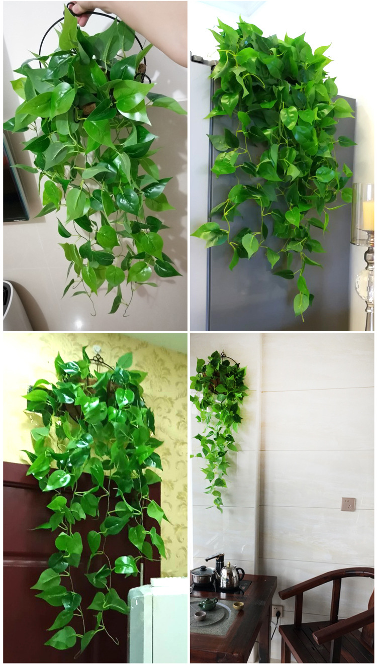 仿真绿萝壁挂装饰假花植物藤条客厅挂墙遮挡吊兰吊篮藤蔓绿叶垂吊