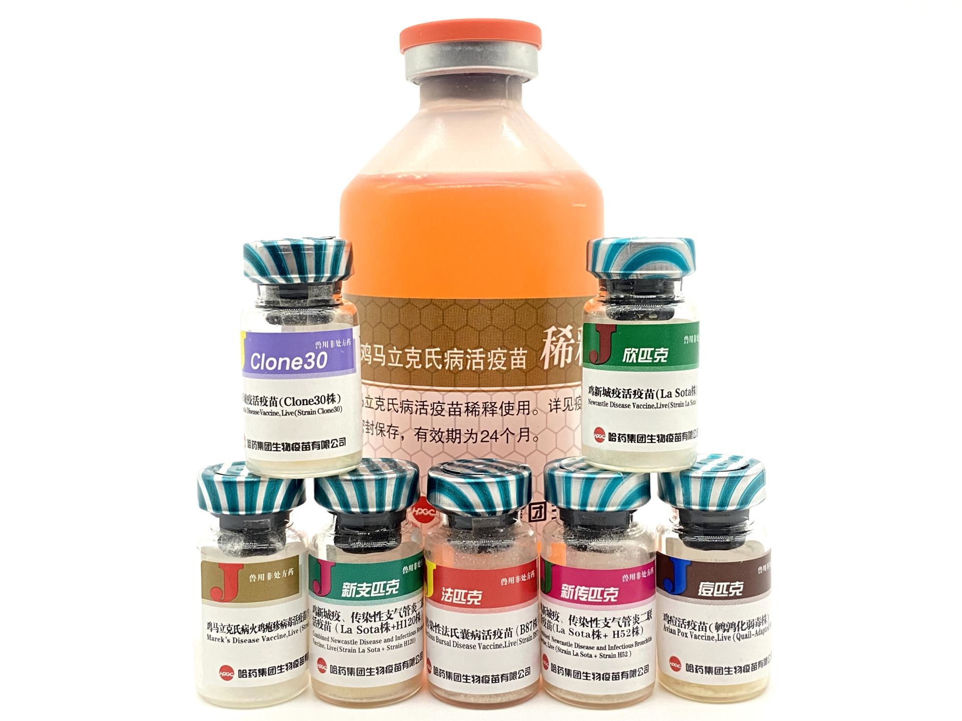 小鸡疫苗 马立克 新支h120h52 新城疫四系c30法氏囊一系土鸡疫苗