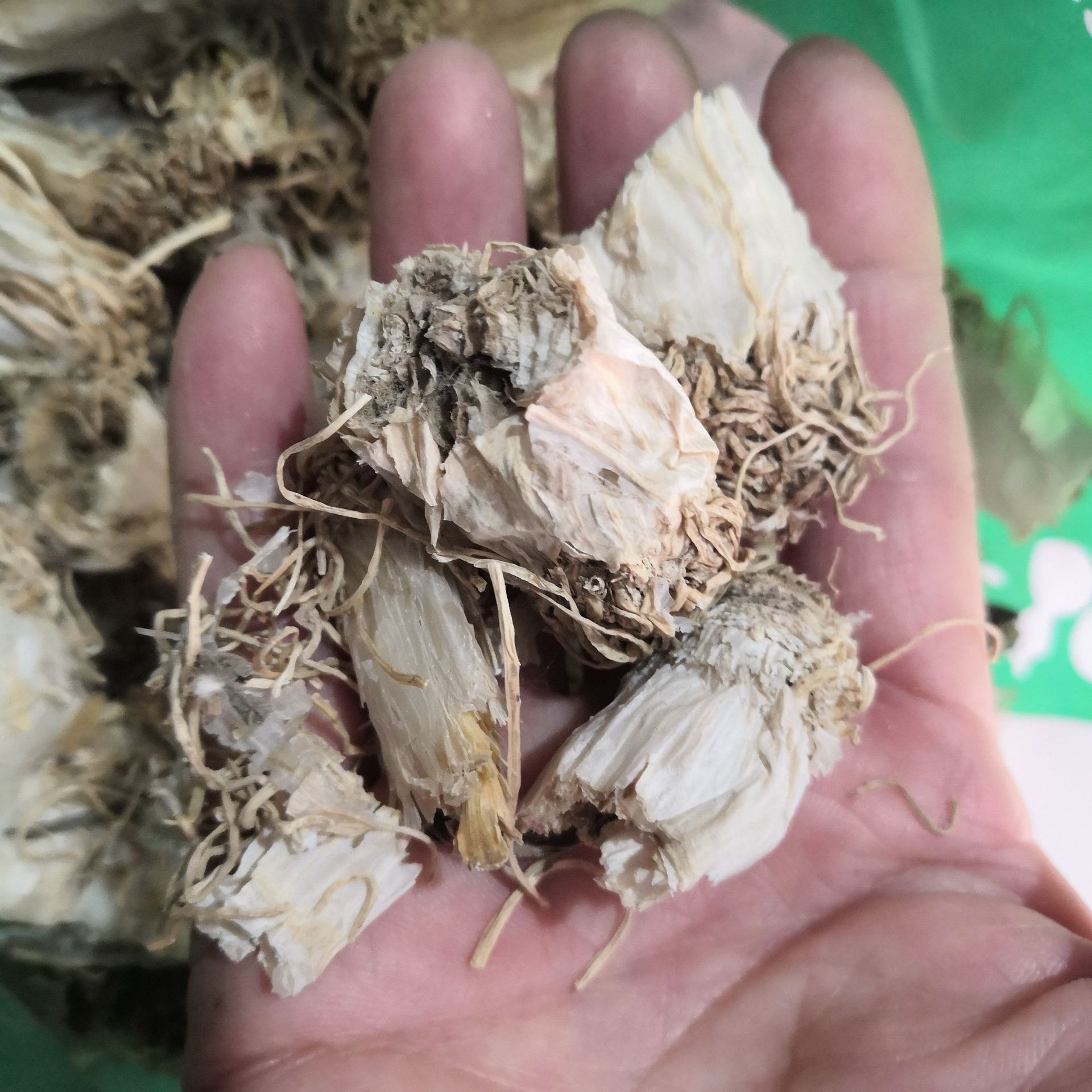 中药材葱须 葱根 葱须根 大葱根 大葱根须 新货无硫大葱须