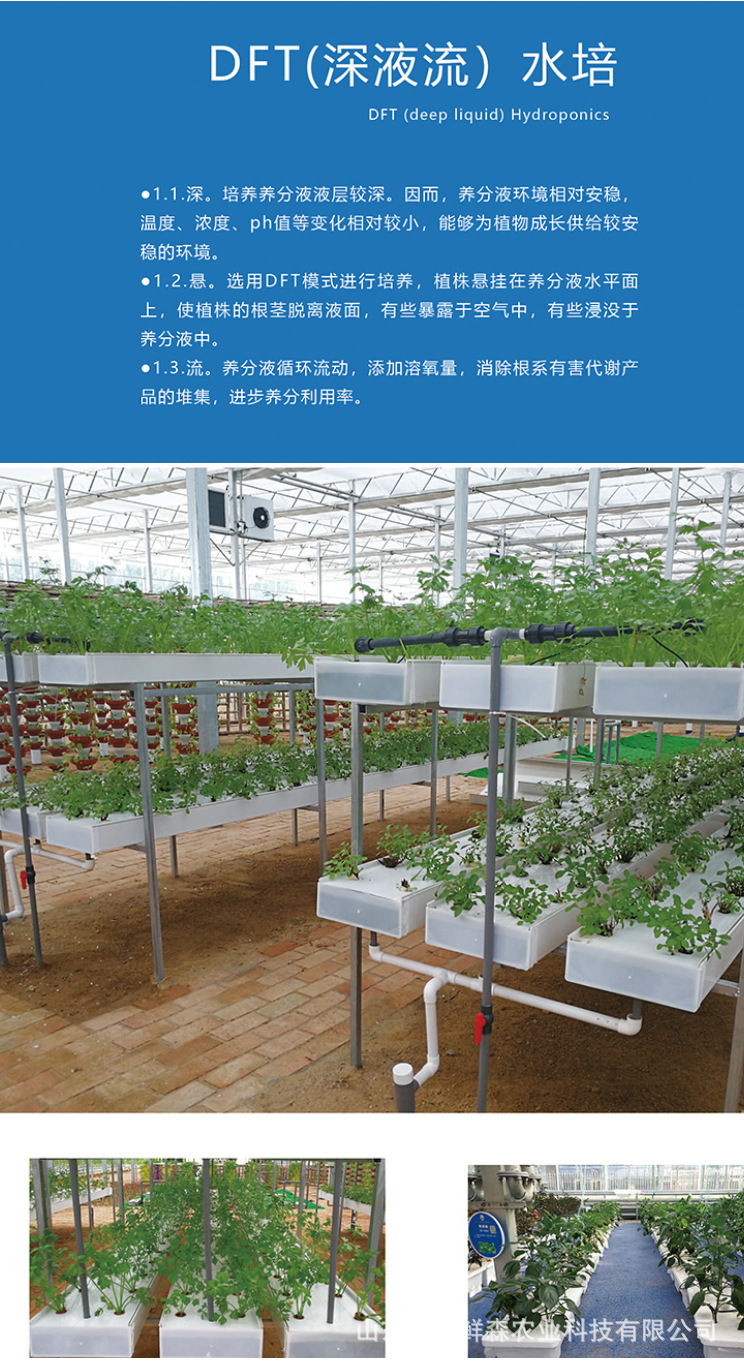 荷兰模式无土栽培 无土栽培西红柿 无土栽培设计施工 厂家直销