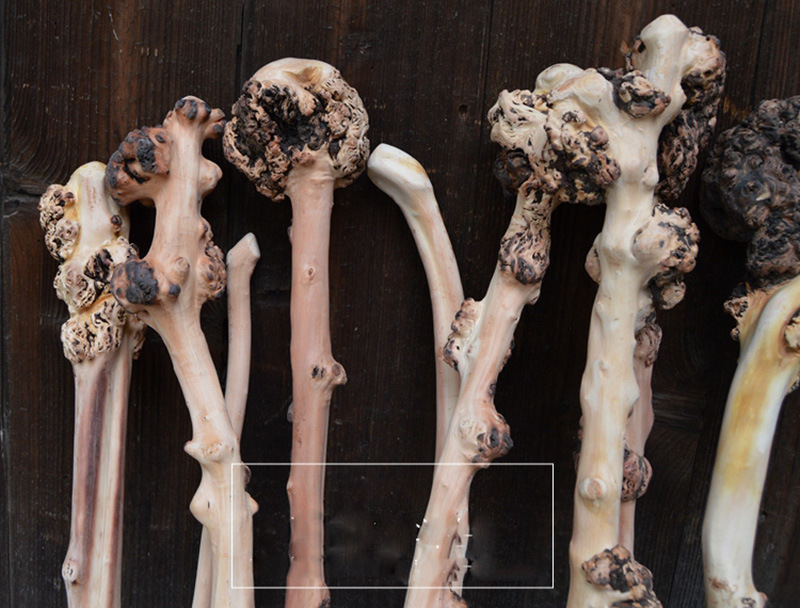 云南黑果木树瘤背捶天然黑果木捶子旅游景区庙会健身捶背批发