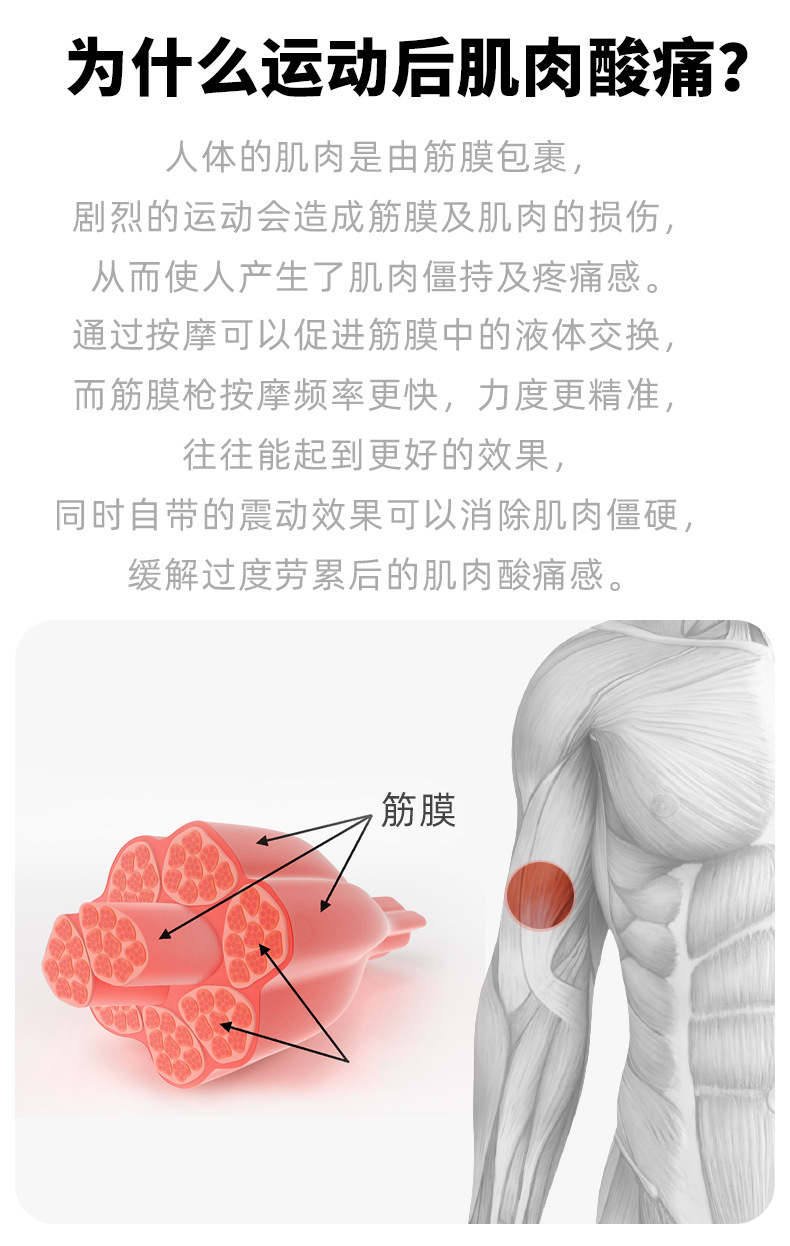 菠萝君e款筋膜枪 肌肉放松筋膜枪