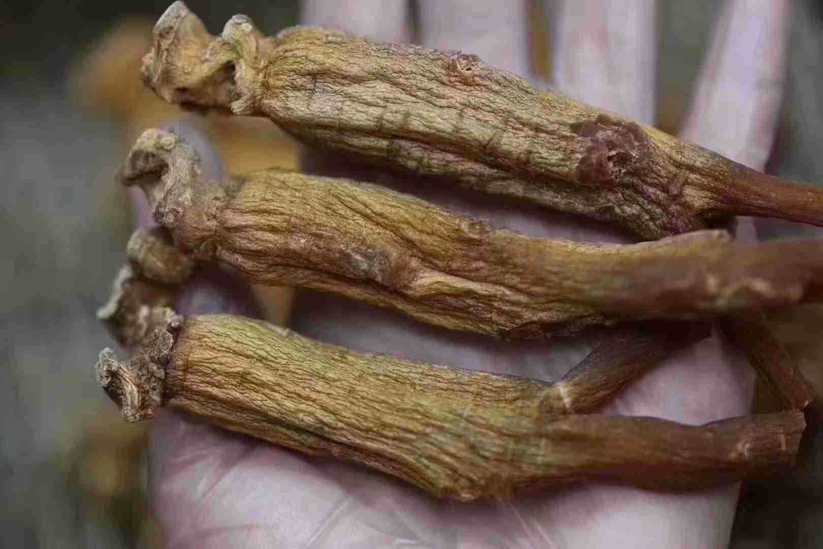 韩国进口散装高丽参原条6年根肉质花纹明显皮老纹深15支20支30支