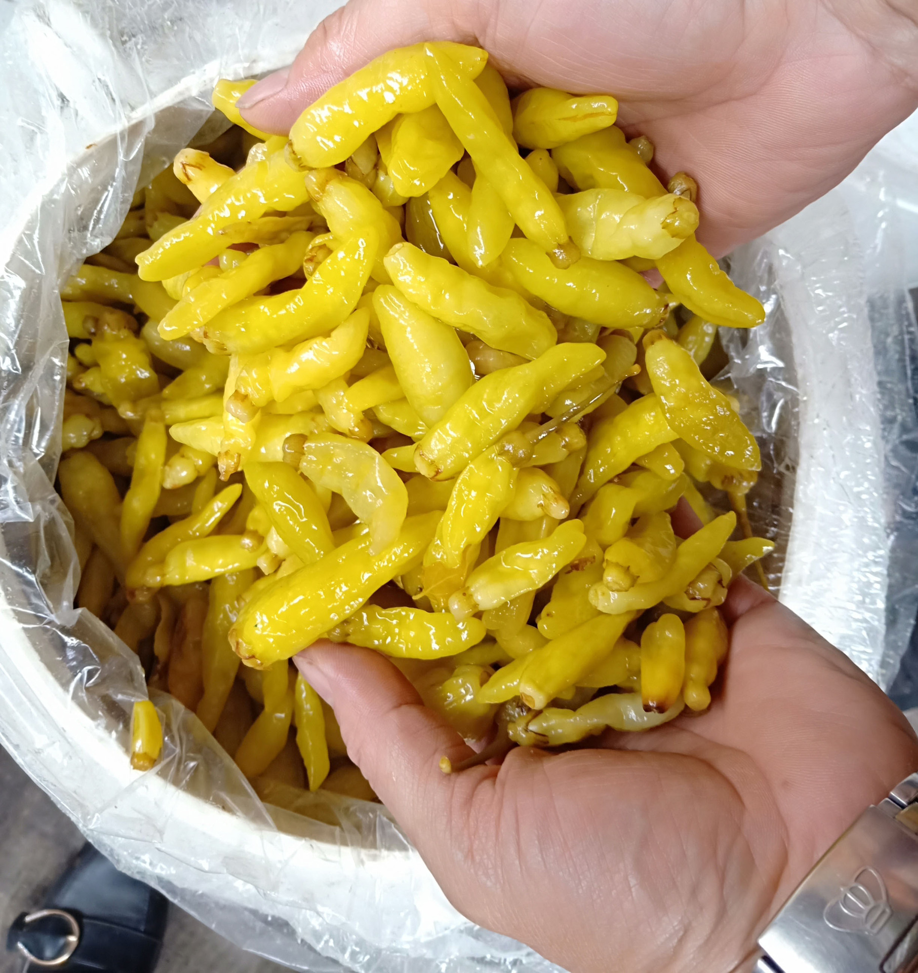 云南泡辣椒泡小米辣椒野山椒泡椒凤爪辣椒酸菜鱼辣椒泡椒批发