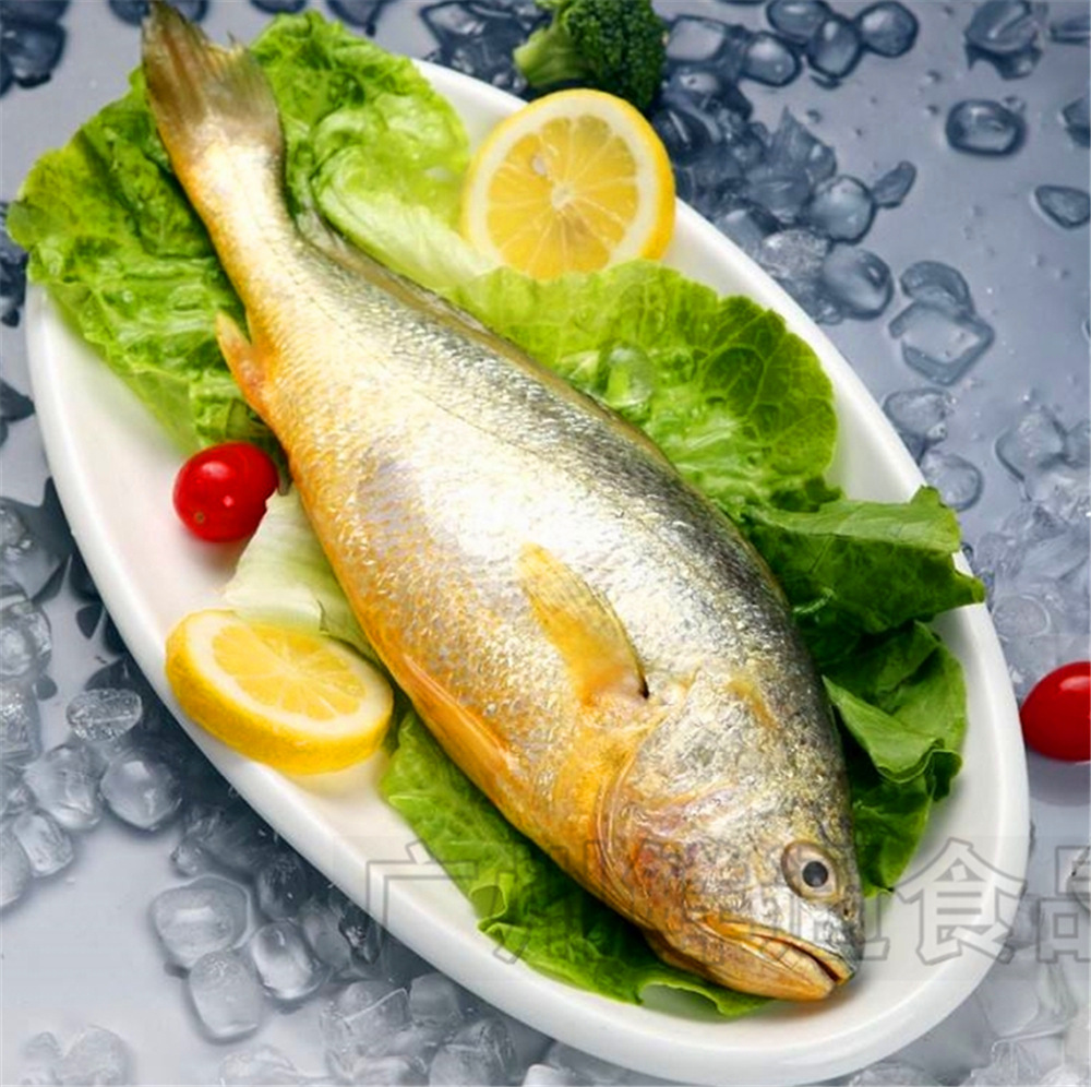 【海捕大黄鱼】按斤计 约2斤/条 冰鲜大黄花鱼黄金鱼深海黄瓜鱼