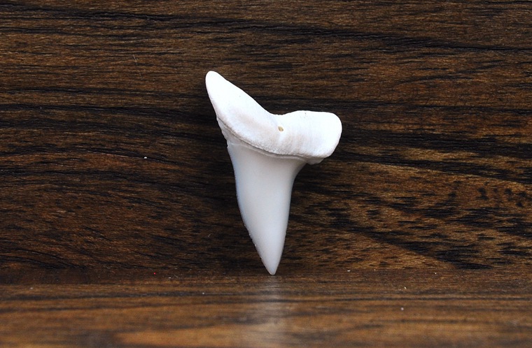 泰国鲨鱼牙齿吊坠男女个性配饰东南亚创意首饰品diy 项坠