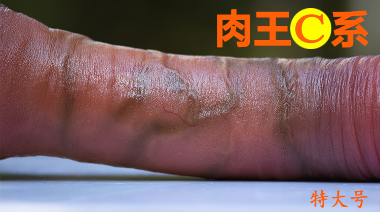 肉王c系列逼真柔软仿真阳具情趣用具女用自慰器特大短粗中大号全