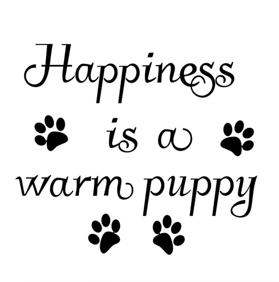 happiness 一代精雕可移除个性墙贴客厅卧室沙发背景墙定制mu3342