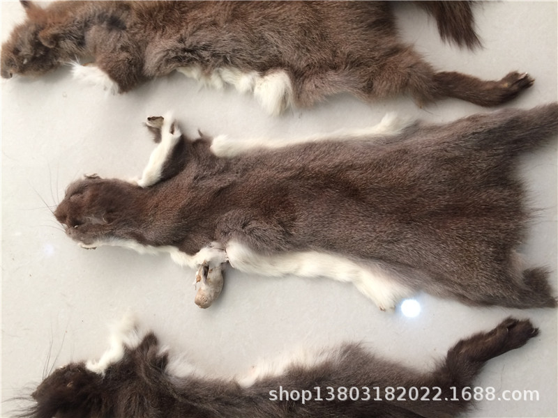 松鼠皮毛 灰鼠毛皮 黄草菇鼬 毛皮丝条 宽1mm 2mm 仿生钩渔具毛料