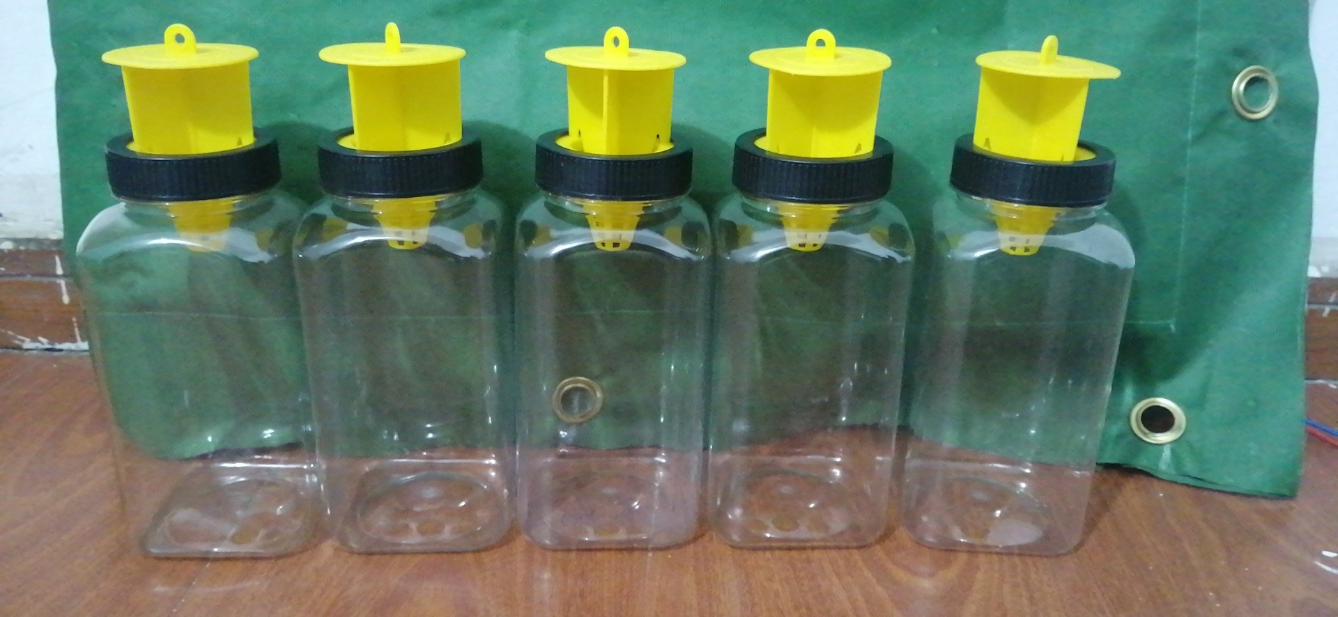 跨境货源fly catcher捕蝇瓶 大号捕蝇器 重复使用捕蝇器 捕苍蝇瓶