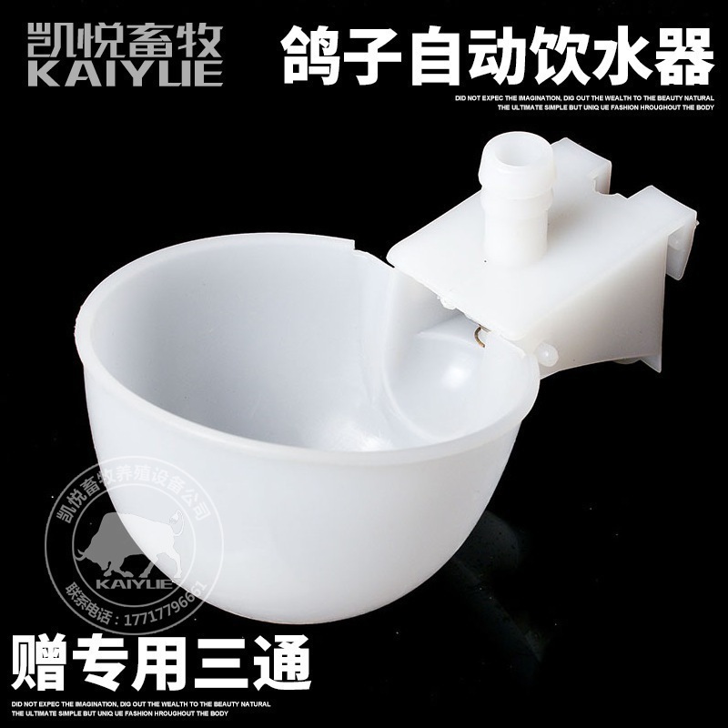 鸽子自动饮水器 鸽笼饮水杯 带三通 养殖鸽子用品用具 配件