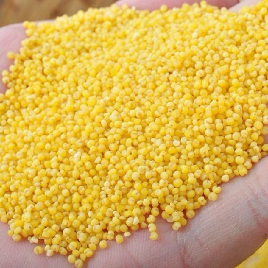 【沂蒙山农家黄小米】2020新米 新鲜小米五谷杂粮