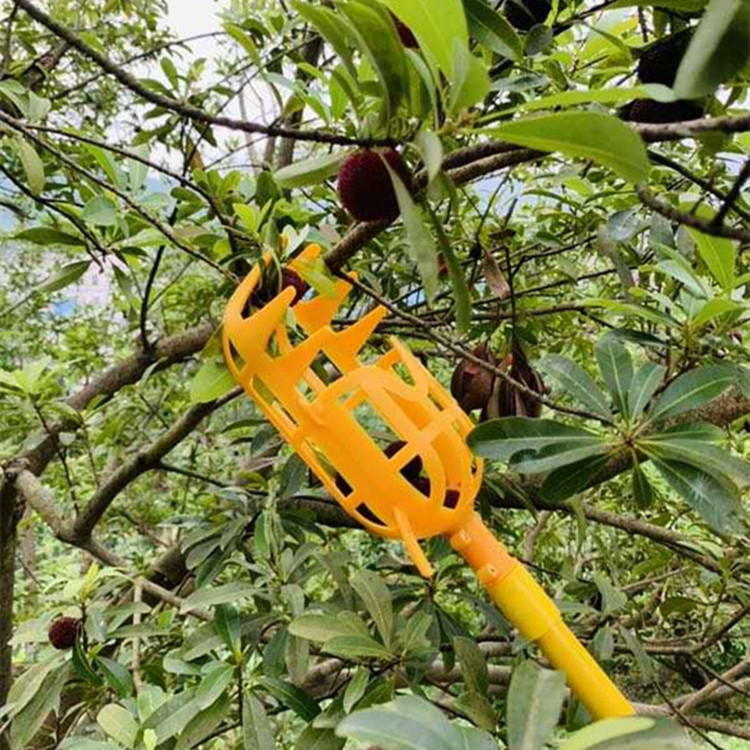 摘果器摘枇杷工具摘杨梅工具高空摘果器摘枇杷杨梅李子枣子等水果