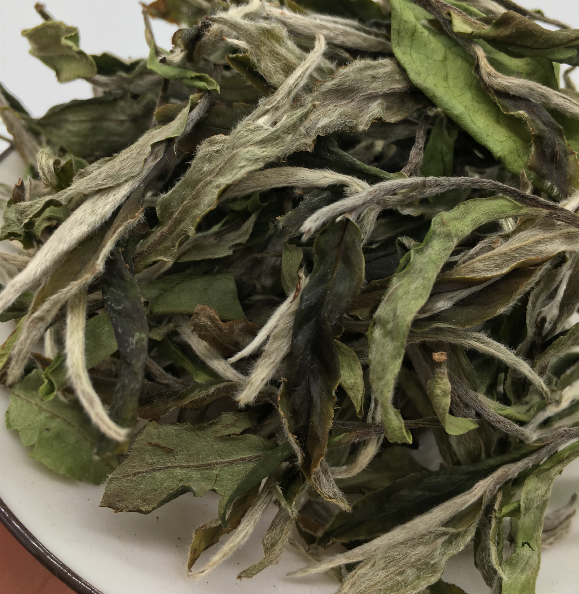 茶厂直发白牡丹福鼎新白茶福建白茶寿眉贡眉白毫银针水甜 批发