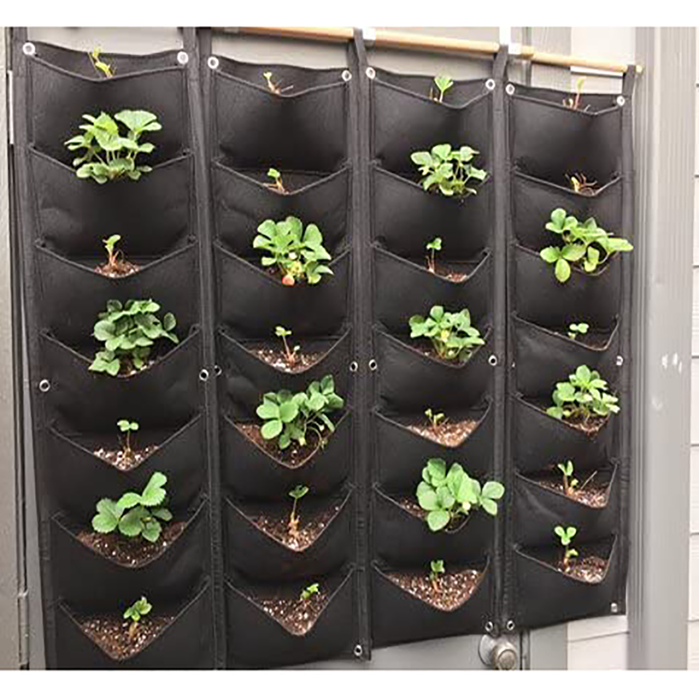 育苗袋 垂直绿化育苗袋 立体种植袋 壁挂花盆 植物生长包 种植袋