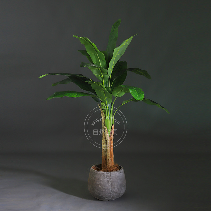 多个尺寸 特大芭蕉树仿真植物盆栽热带雨林假绿植芭蕉树